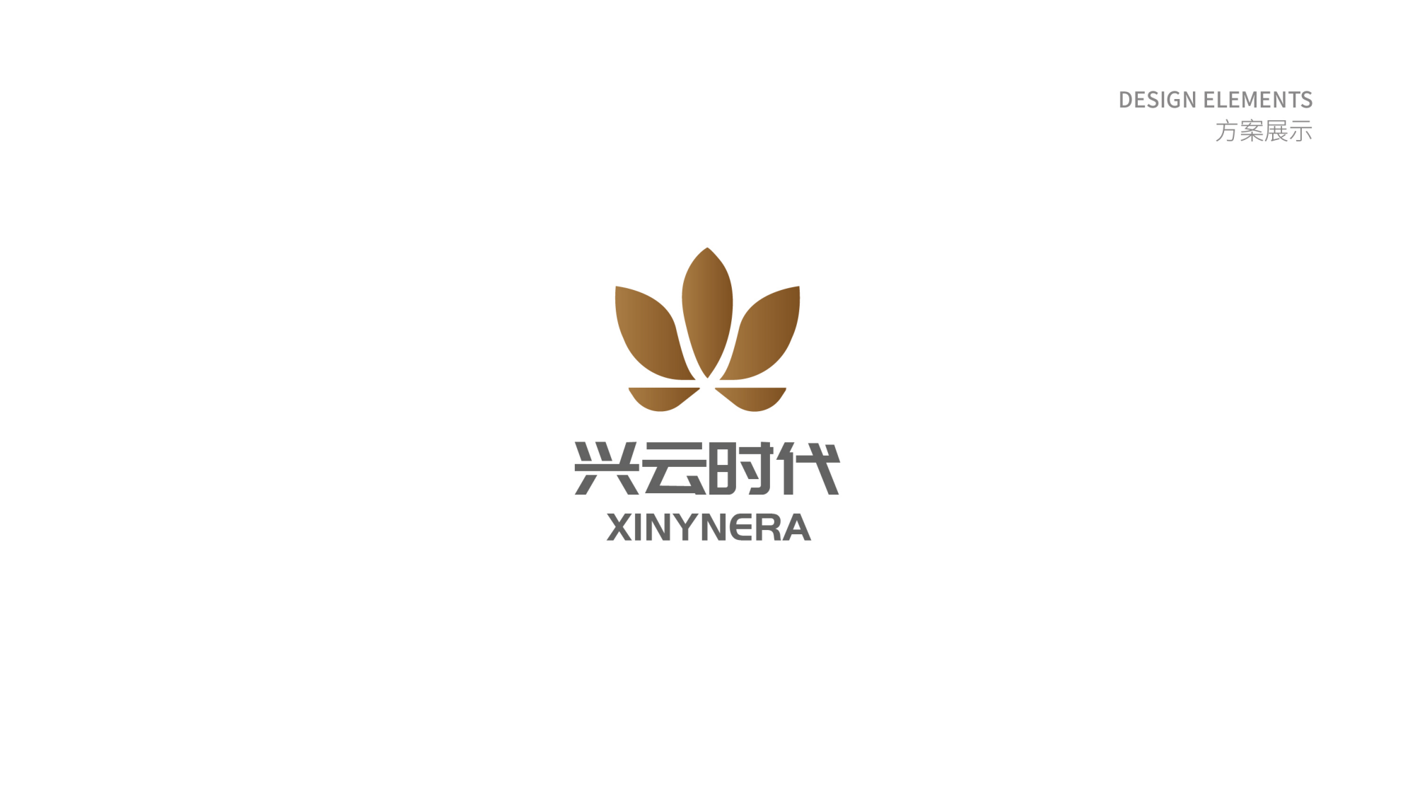 興雲時代标識設計方案_05.png