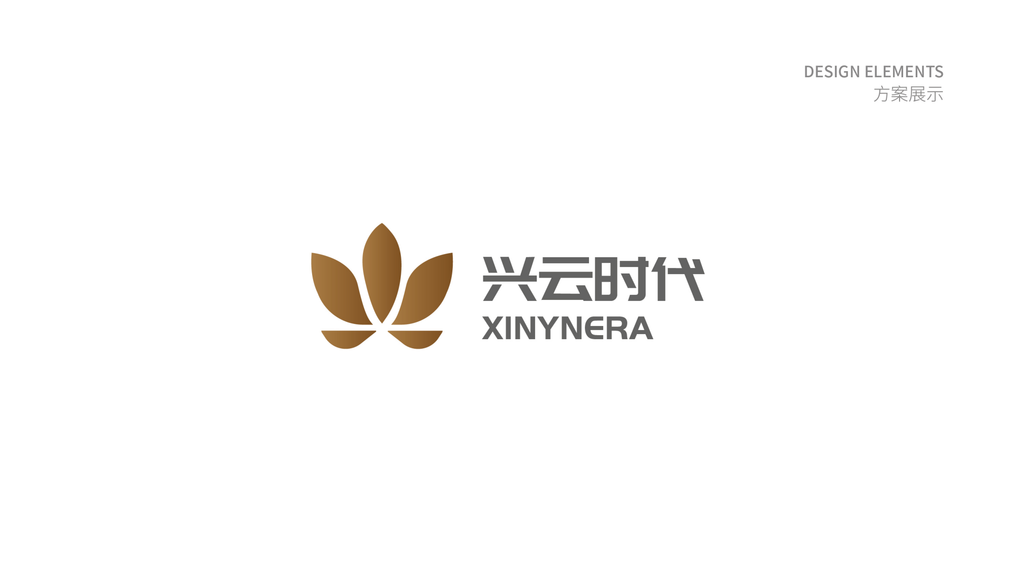 興雲時代标識設計方案_06.png